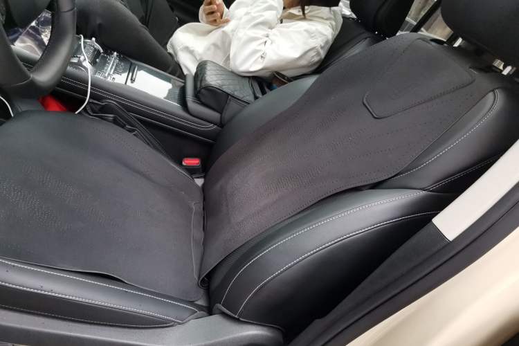 Used Tank 300 New Energy 2025 Hi4-T Left Front Seat