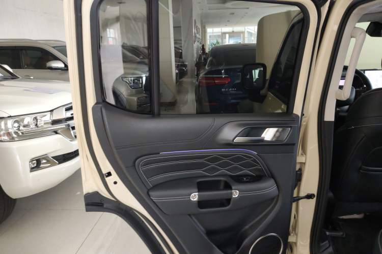Used Tank 300 New Energy 2025 Hi4-T Left Rear Door Interior
