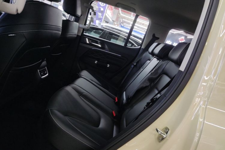 Used Tank 300 New Energy 2025 Hi4-T Left Rear Seat