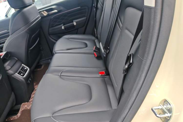Used Tank 300 New Energy 2025 Hi4-T Left Rear Seat