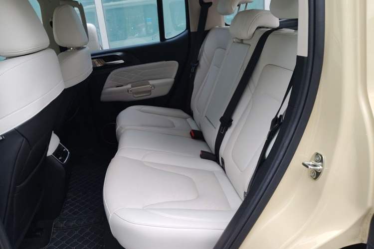 Used Tank 300 New Energy 2025 Hi4-T Left Rear Seat