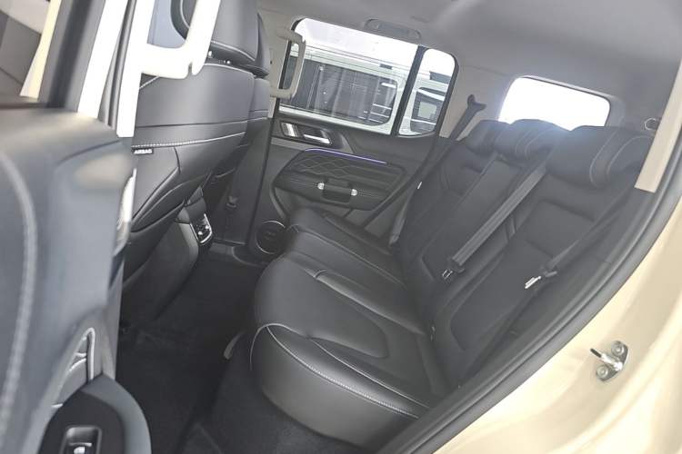 Used Tank 300 New Energy 2025 Hi4-T Left Rear Seat