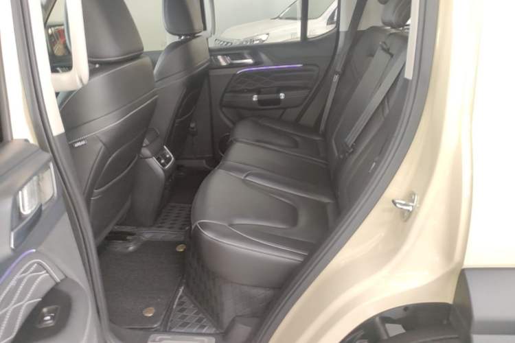 Used Tank 300 New Energy 2025 Hi4-T Left Rear Seat