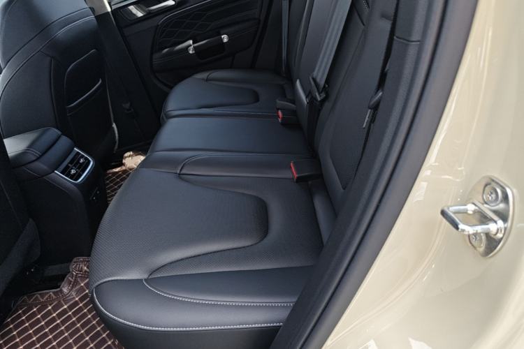 Used Tank 300 New Energy 2025 Hi4-T Left Rear Seat