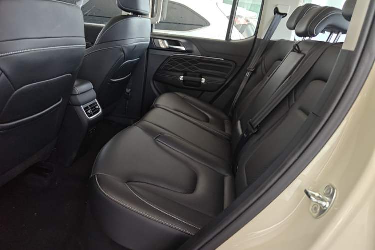 Used Tank 300 New Energy 2025 Hi4-T Left Rear Seat