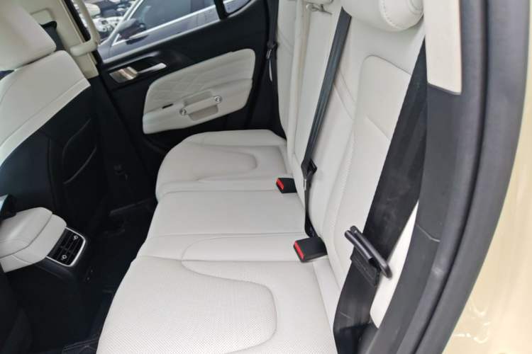 Used Tank 300 New Energy 2025 Hi4-T Left Rear Seat