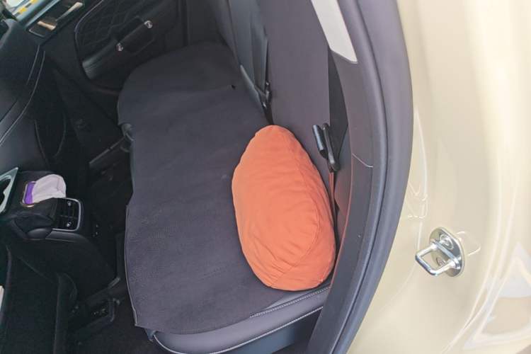 Used Tank 300 New Energy 2025 Hi4-T Left Rear Seat