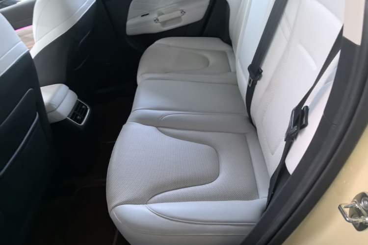 Used Tank 300 New Energy 2025 Hi4-T Left Rear Seat