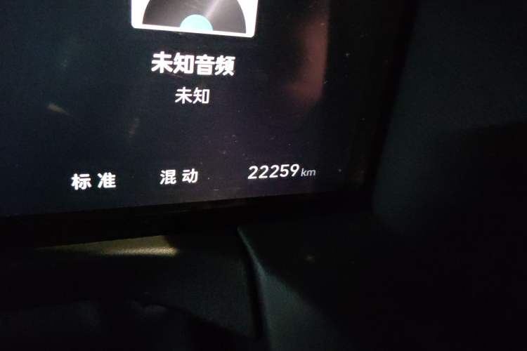 Used Tank 300 New Energy 2025 Hi4-T Odometer Close Up