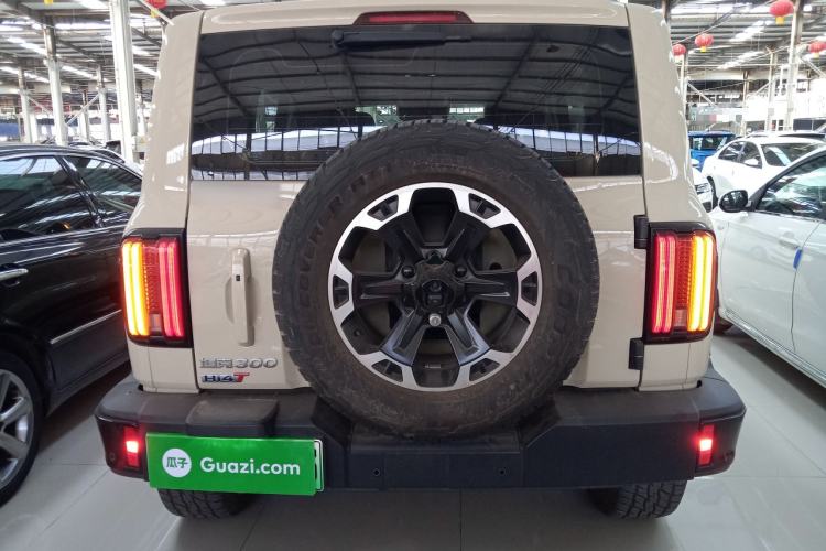 Used Tank 300 New Energy 2025 Hi4-T Rear