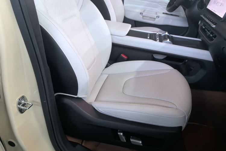 Used Tank 300 New Energy 2025 Hi4-T Right Front Seat