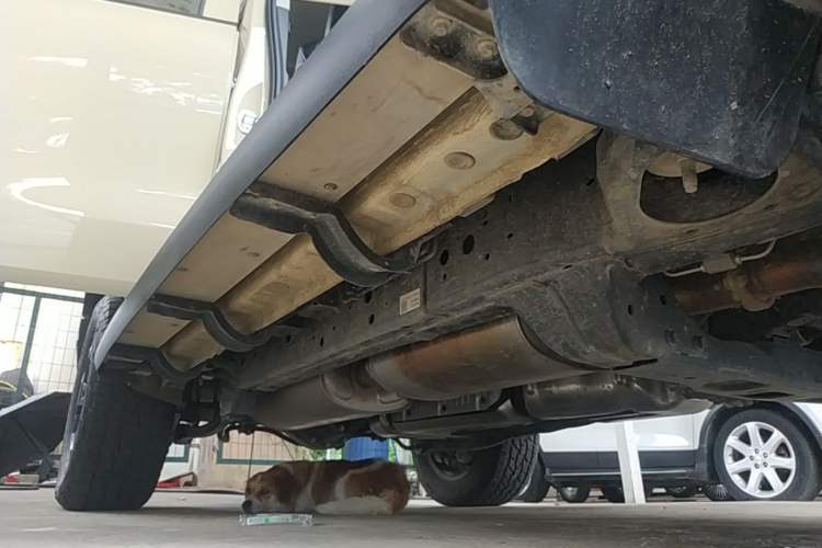 Used Tank 300 New Energy 2025 Hi4-T Right Side Sill