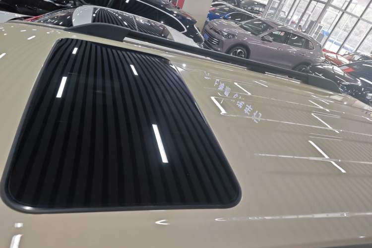 Used Tank 300 New Energy 2025 Hi4-T Roof