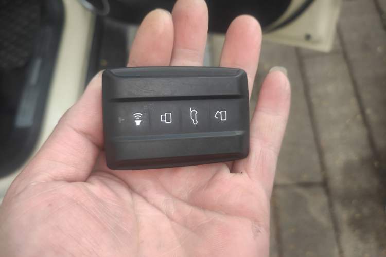 Used Tank 300 New Energy 2025 Hi4-T Vehicle Key