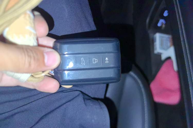 Used Tank 300 New Energy 2025 Hi4-T Vehicle Key