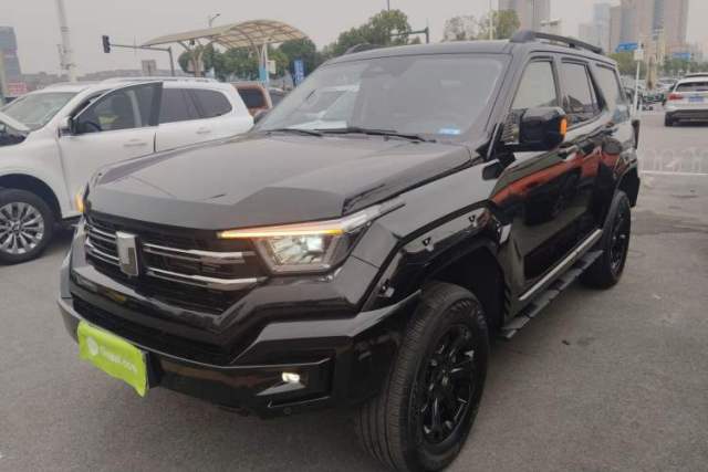 Used Tank 400 2025 2.0T Gasoline Version