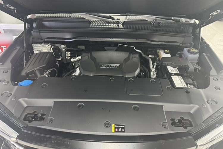 Used Tank 400 2025 2.0T Gasoline Version Engine Bay