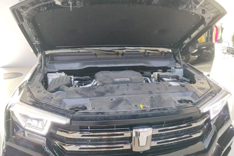 Used Tank 400 2025 2.0T Gasoline Version Engine Bay