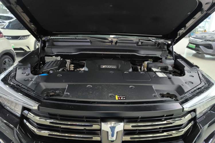 Used Tank 400 2025 2.0T Gasoline Version Engine Bay