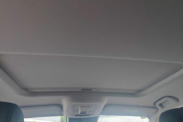 Used Tank 400 2025 2.0T Gasoline Version Headliner