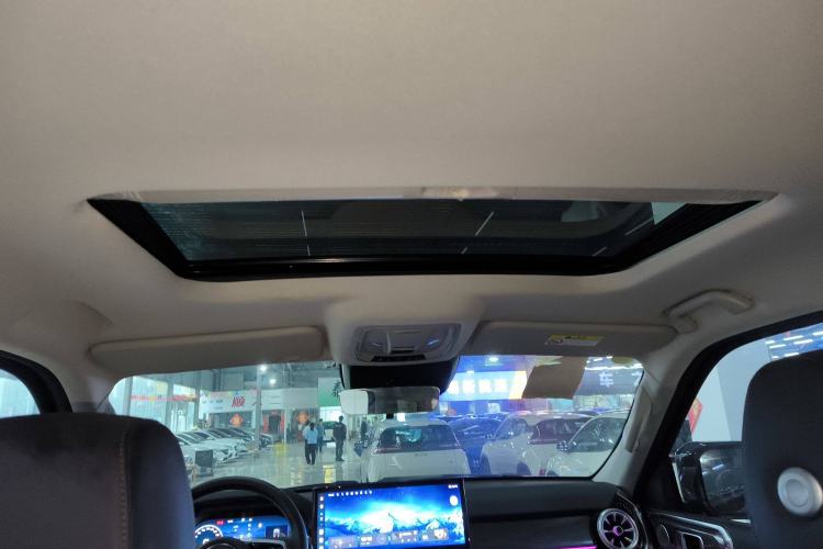 Used Tank 400 2025 2.0T Gasoline Version Headliner