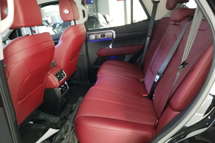 Used Tank 400 2025 2.0T Gasoline Version Left Rear Seat