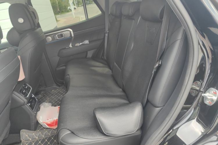 Used Tank 400 2025 2.0T Gasoline Version Left Rear Seat