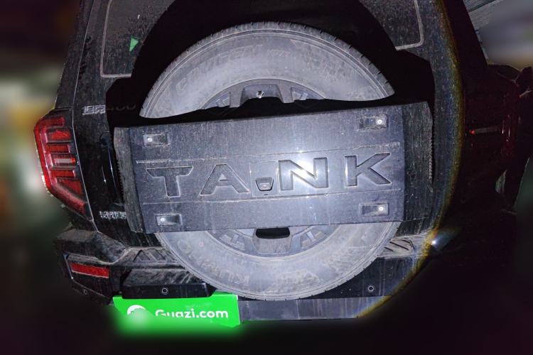 Used Tank 400 2025 2.0T Gasoline Version Rear