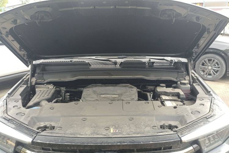 Used Tank 400 2025 2.0T Gasoline Version Engine Bay