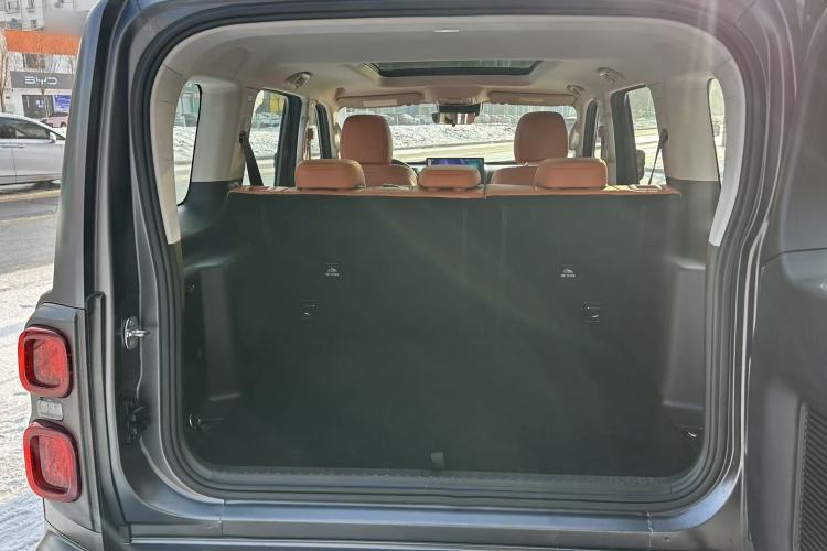 Used Tank 400 2025 2.4T Diesel Version Headliner