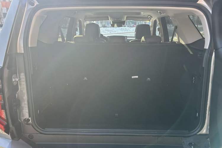 Used Tank 400 2025 2.4T Diesel Version Interior 5