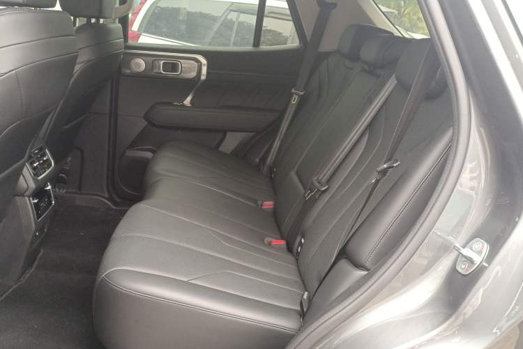 Used Tank 400 2025 2.0T Gasoline Version Left Rear Seat