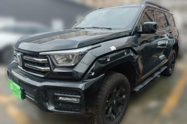 Used Tank 400 2026 Model—2.0T Gasoline Version