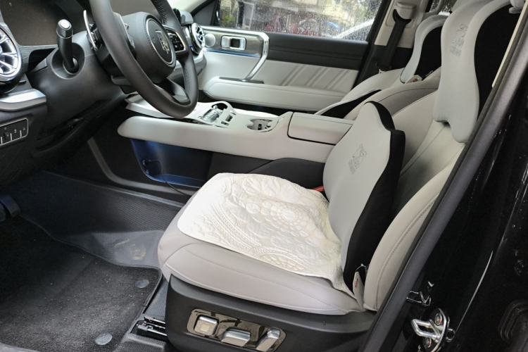 Used Tank 400 2026 Model—2.0T Gasoline Version Driver Seat