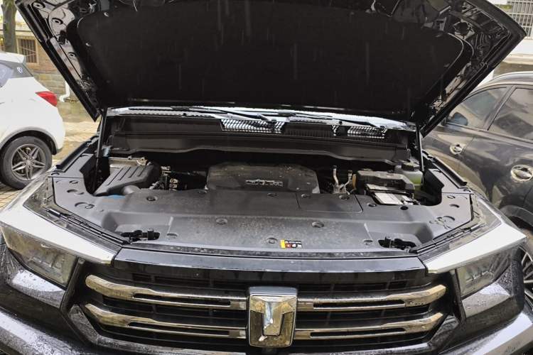 Used Tank 400 2026 Model—2.0T Gasoline Version Engine Bay