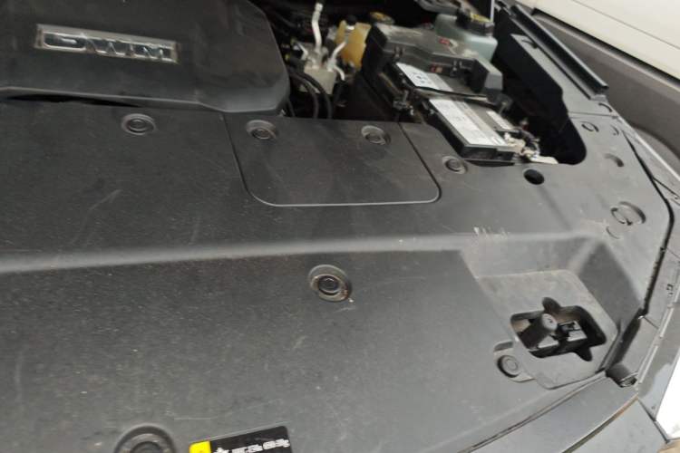 Used Tank 400 2026 Model—2.0T Gasoline Version Engine Bay Left