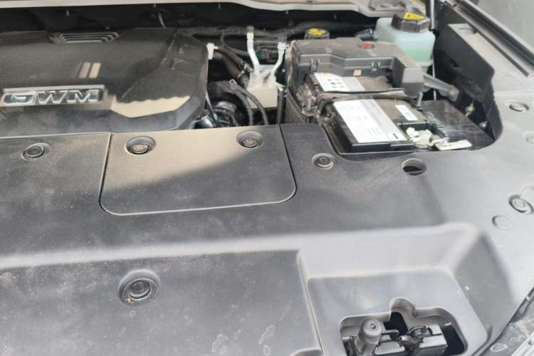Used Tank 400 2026 Model—2.0T Gasoline Version Engine Bay Left