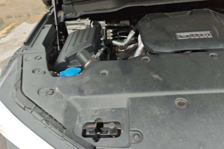 Used Tank 400 2026 Model—2.0T Gasoline Version Engine Bay Right