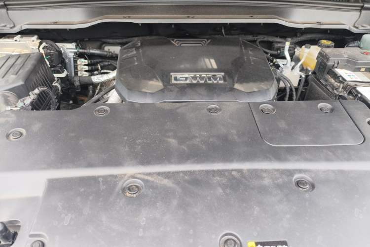 Used Tank 400 2026 Model—2.0T Gasoline Version Engine Bay