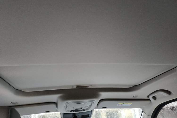 Used Tank 400 2026 Model—2.0T Gasoline Version Headliner