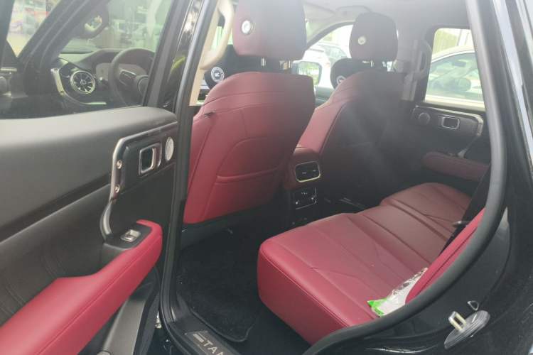 Used Tank 400 2026 Model—2.0T Gasoline Version Left Rear Seat