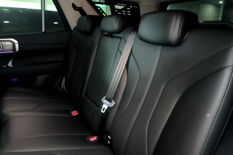 Used Tank 400 2026 Model—2.0T Gasoline Version Left Rear Seat