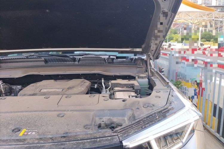 Used Tank 400 2026 Model—2.0T Gasoline Version Engine Bay Left
