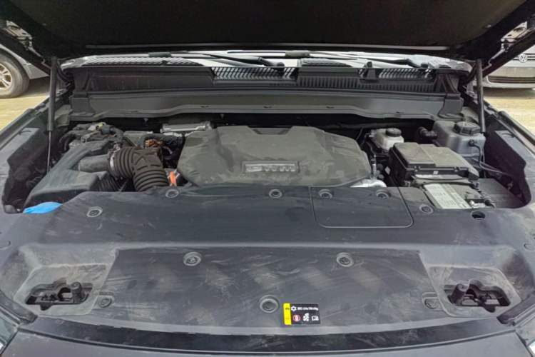 Used Tank 400 New Energy 2023 Hi4-T Super Edition Engine Bay