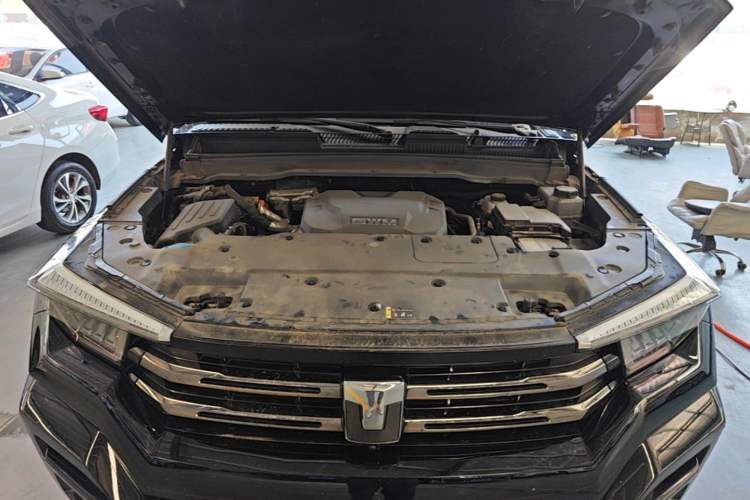 Used Tank 400 New Energy 2023 Hi4-T Super Edition Engine Bay