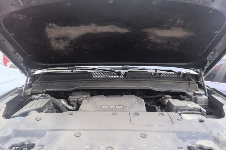 Used Tank 400 New Energy 2023 Hi4-T Super Edition Engine Bay