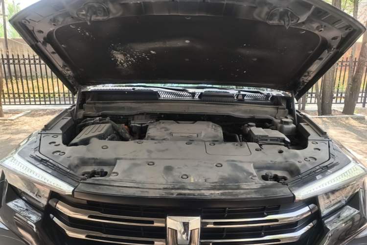 Used Tank 400 New Energy 2023 Hi4-T Super Edition Engine Bay