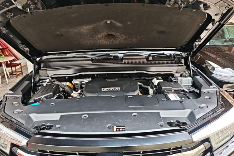 Used Tank 400 New Energy 2023 Hi4-T Super Edition Engine Bay