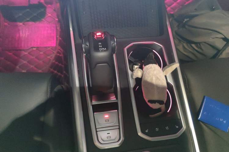 Used Tank 400 New Energy 2023 Hi4-T Super Edition Gear Lever