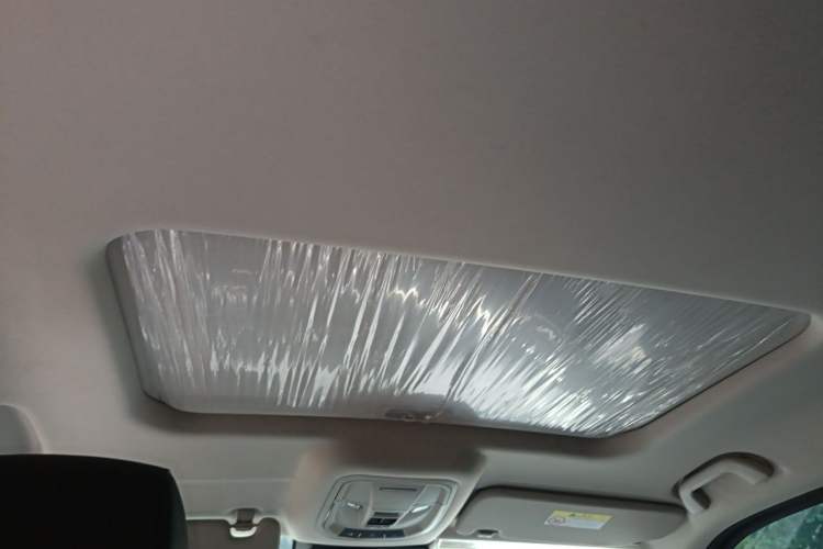 Used Tank 400 New Energy 2023 Hi4-T Functional Edition Headliner